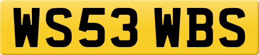 WS53WBS